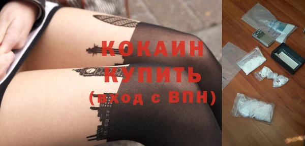 твердый Алексин