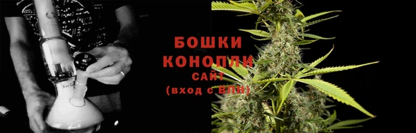 крисы Новодвинск
