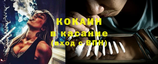 прущие крисы Алзамай